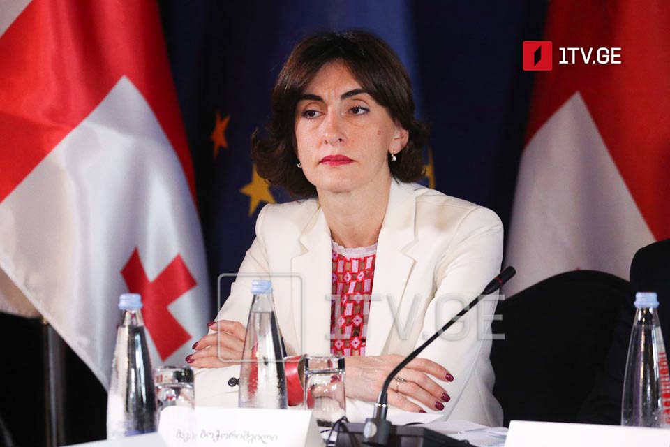 მაკა ბოჭორიშვილი - შეშფოთებული ვართ მართული დეზინფორმაციის კამპანიისა და კოორდინირებული ქმედებებით, რომლებიც მიმართულია საქართველოს დემოკრატიული ინსტიტუტების წინააღმდეგ